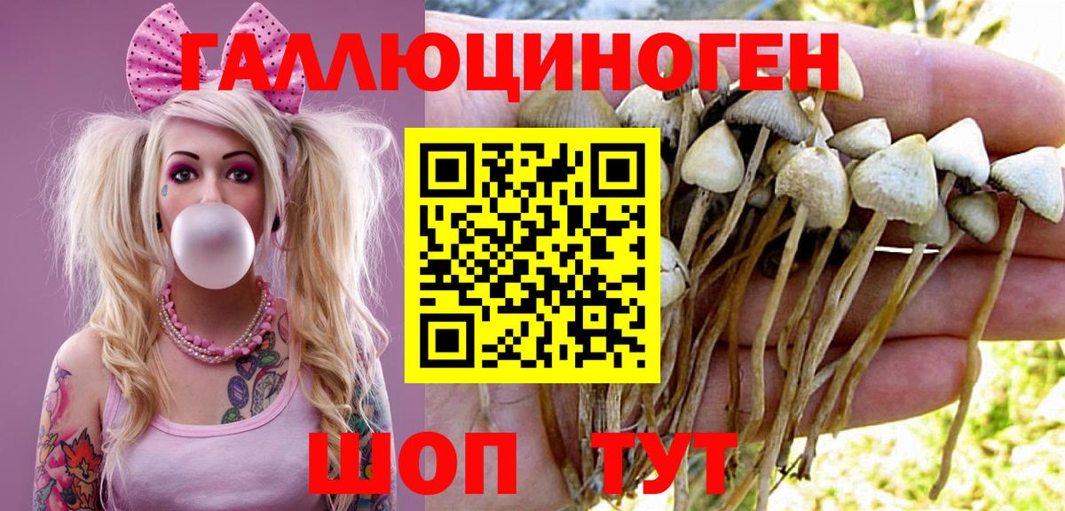 Псилоцибиновые грибы Magic Shrooms Морозовск