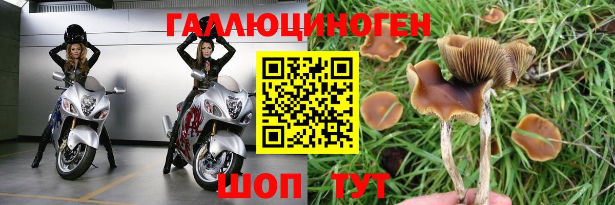 Псилоцибиновые грибы Psilocybine cubensis  Вход с VPN  Галлюциногенные грибы Magic Shrooms  Морозовск 